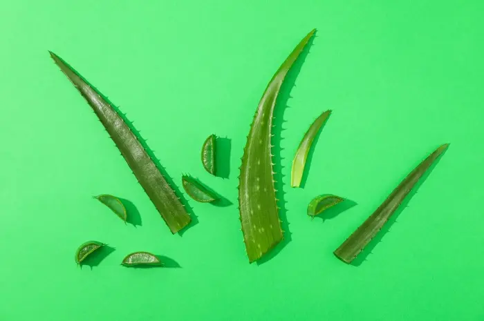 Manfaat Aloe Vera untuk Kulit dan Rambut